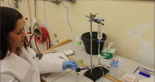 Rachael with mahi heart